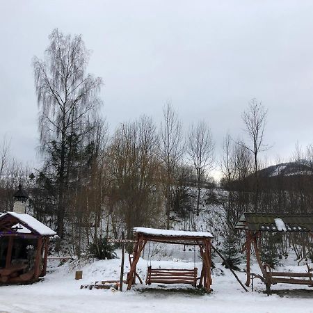 Будинок Художника Шипіт Pilipets Exterior photo