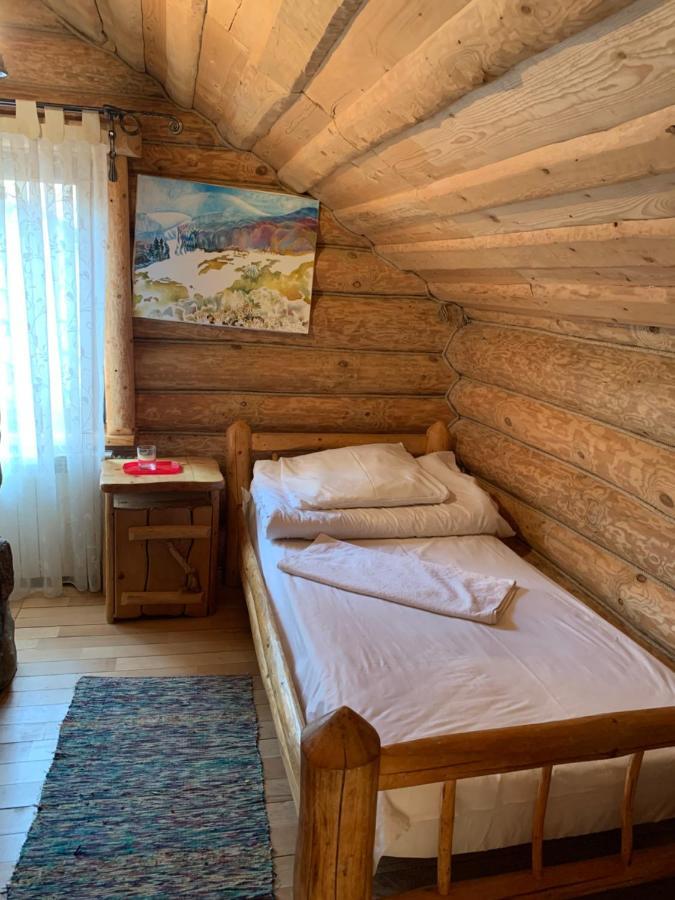 Будинок Художника Шипіт Pilipets Exterior photo