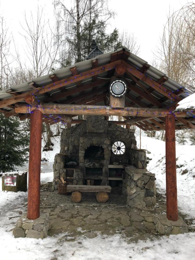Будинок Художника Шипіт Pilipets Exterior photo
